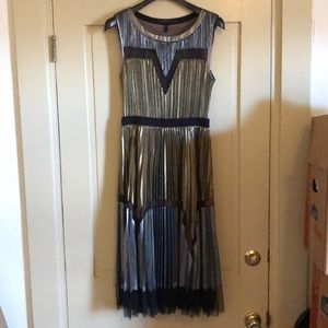 BCBG Maxazria Silver and Gold Dress